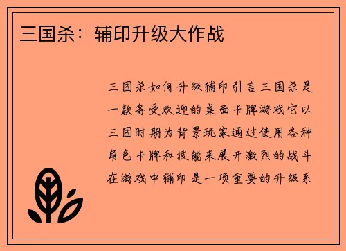 三国杀：辅印升级大作战